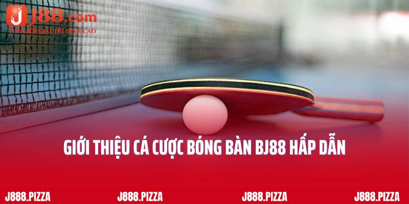 Giới thiệu cá cược bóng bàn BJ88 hấp dẫn