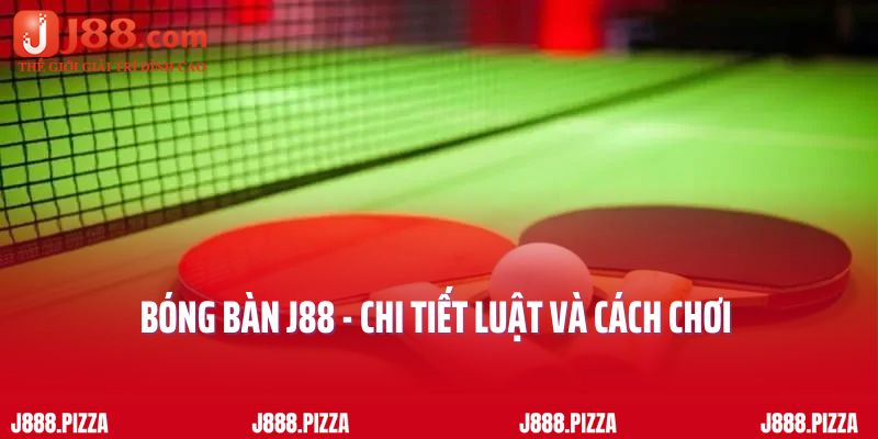 Bóng Bàn J88 - Chi Tiết Luật Và Cách Chơi Cho Người Mới