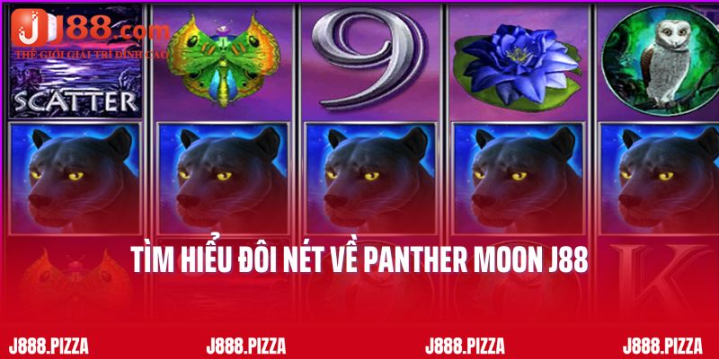 Tìm hiểu đôi nét về tựa game nổ hũ Panther Moon J88